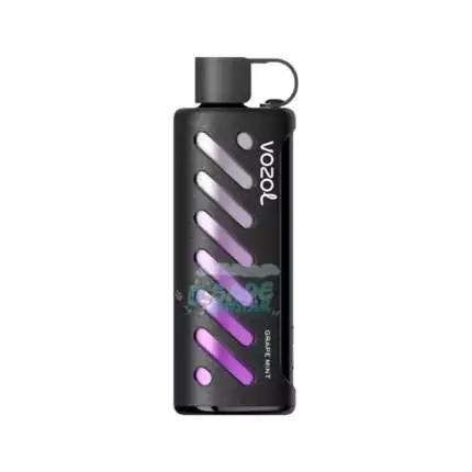 Vozol Shisha 25000 Puff Grape Mint