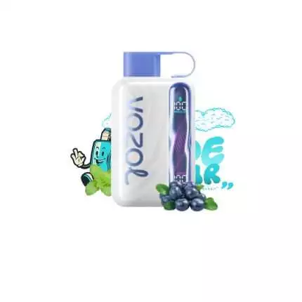 Vozol Star 40000 Blueberry Mint