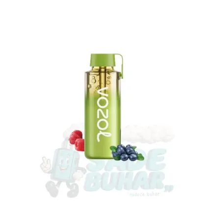 Vozol Neon Pro 12000 Blueberry Sour Raspberry